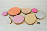 Timber wood discs felt natural tree resources sustainable  seashell
